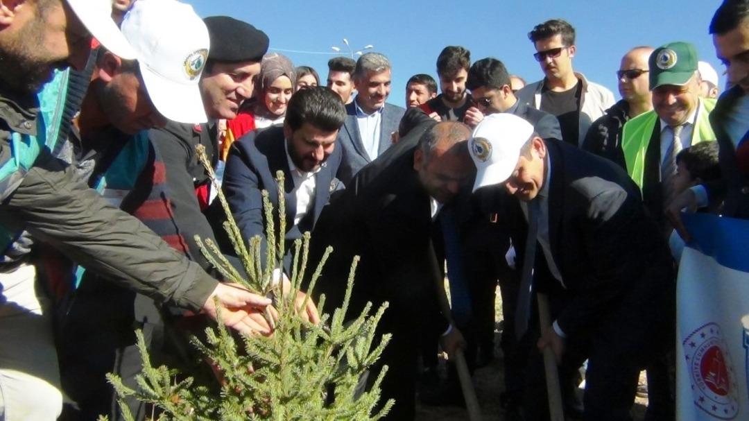 Erciş&rsquo;te 5 bin fidan toprakla buluşturuldu