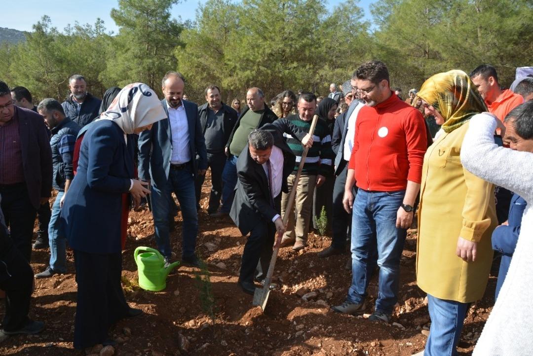 Korkuteli&rsquo;nde 4 Bin 500 Fidan Toprakla Buluştu