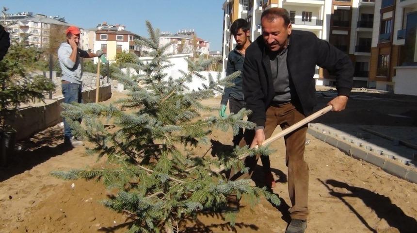 Ercişli iş adamı Halis Bah&ccedil;e 300 fidanı toprakla buluşturdu