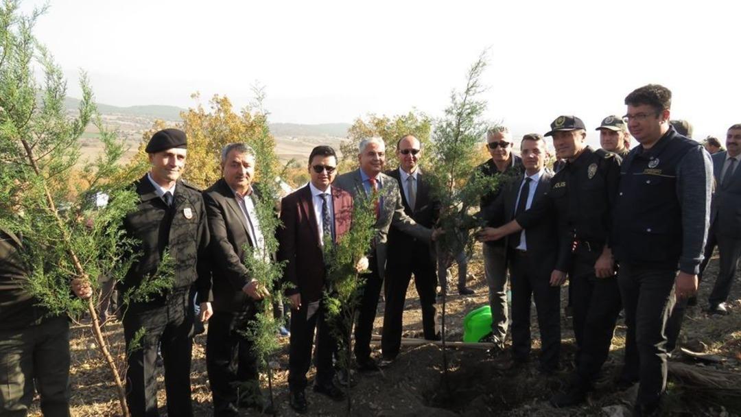 Boyabat&rsquo;ta fidanlar toprakla buluştu