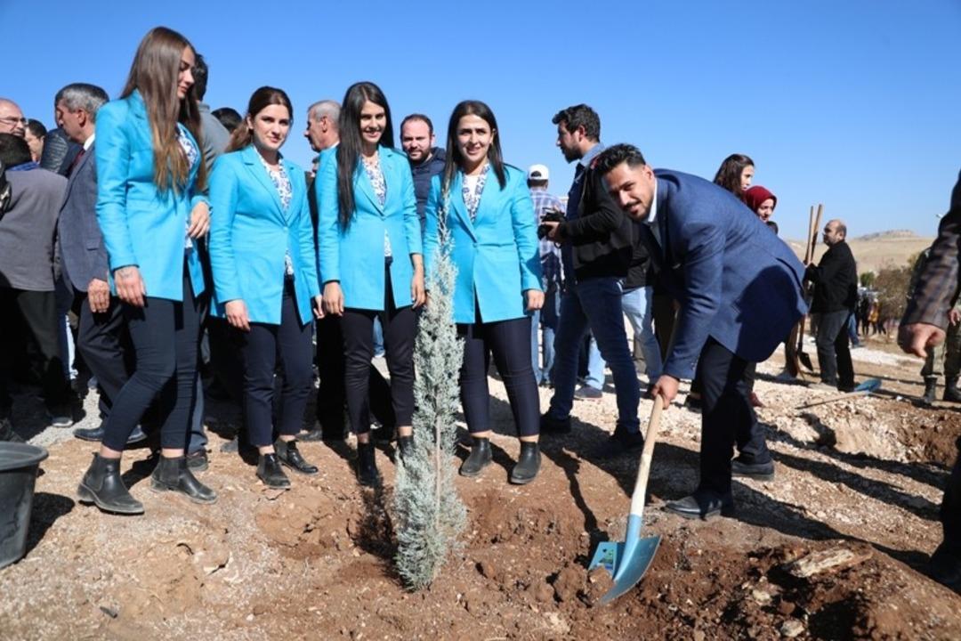 Mardin&rsquo;de 243 bin fidan toprakla buluştu