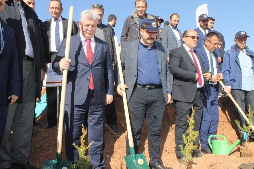 &Ccedil;ankırı&rsquo;da 26 noktada fidan dikimi