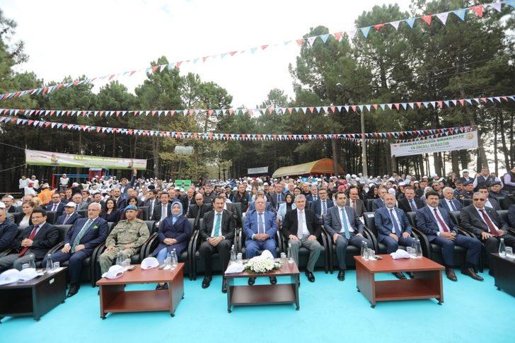 Sakarya’da 87 bin fidan toprakla buluştu G2