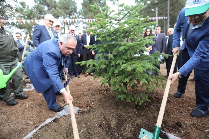 Sakarya’da 87 bin fidan toprakla buluştu G4