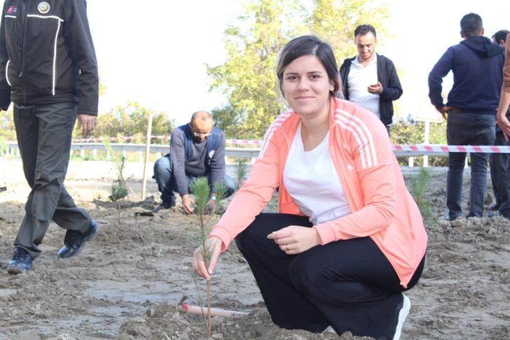 Çatalzeytin’de 200 çam fidanı toprakla buluştu G2