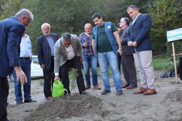 Çatalzeytin’de 200 çam fidanı toprakla buluştu G3