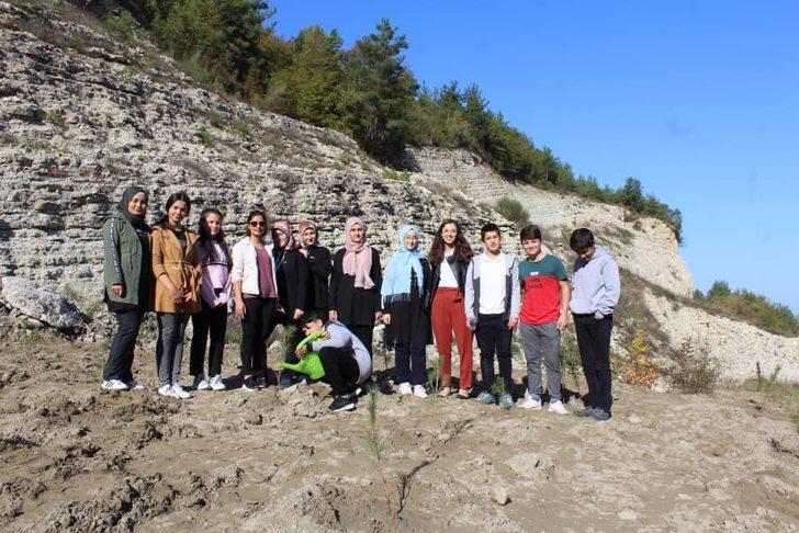 Çatalzeytin’de 200 çam fidanı toprakla buluştu G4