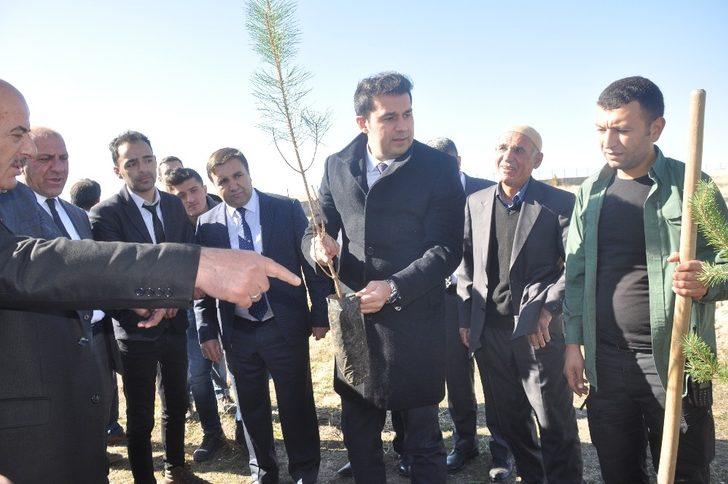 Bulanık’ta fidan dikimi