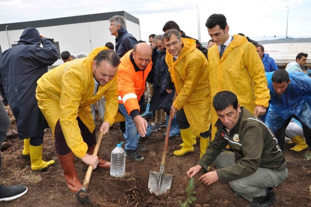 Menemen ve Aliağa&rsquo;da fidanlar toprakla buluştu
