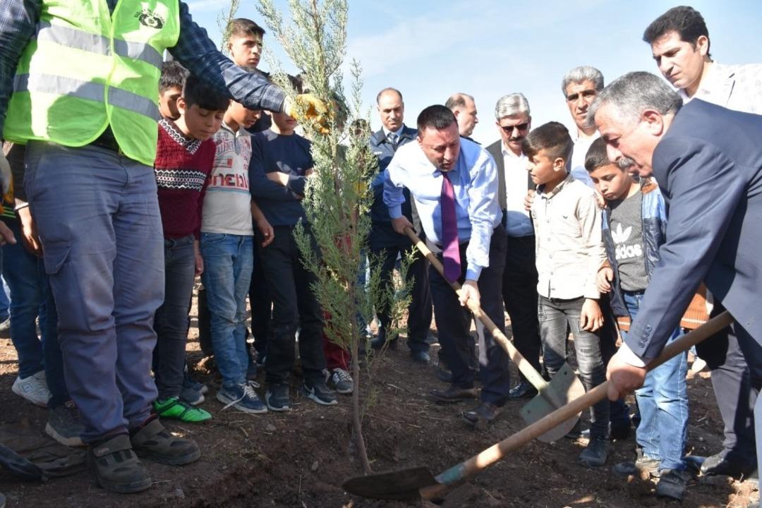 Başkan Beyoğlu, fidan dikti