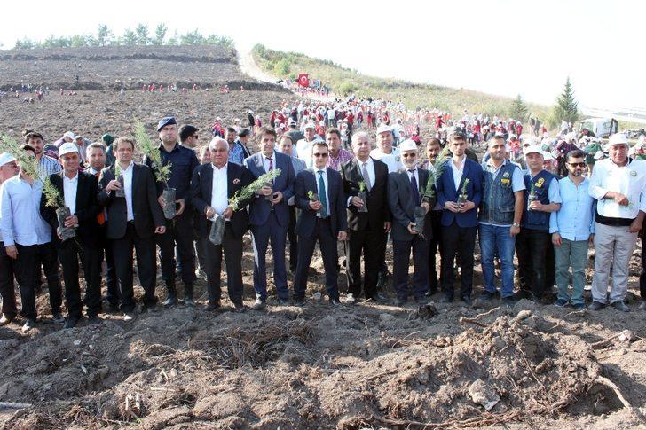 Erdemli’de 50 bin fidan toprakla buluştu G1