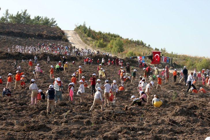 Erdemli’de 50 bin fidan toprakla buluştu G2