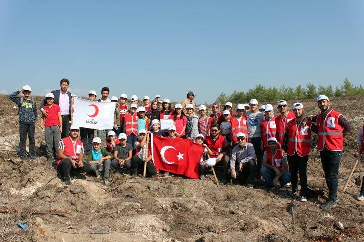 Erdemli’de 50 bin fidan toprakla buluştu G4