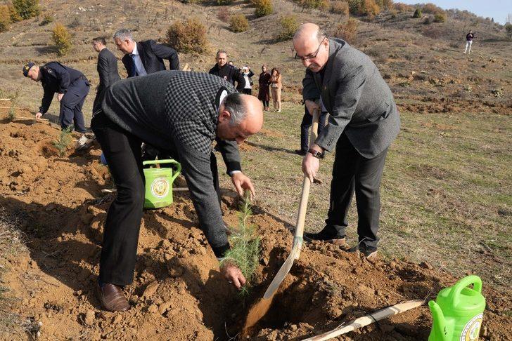 Bozüyük’te sedir fidanları toprakla buluştu G1