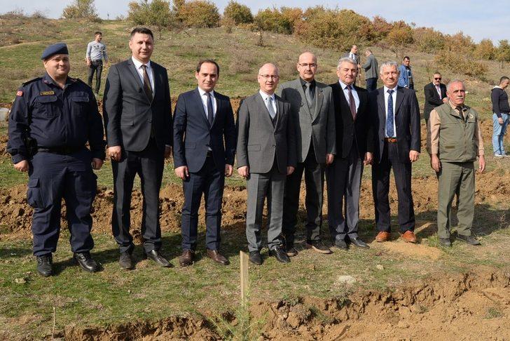 Bozüyük’te sedir fidanları toprakla buluştu G2