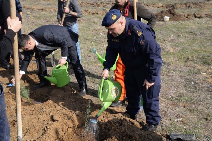 Bozüyük’te sedir fidanları toprakla buluştu G4