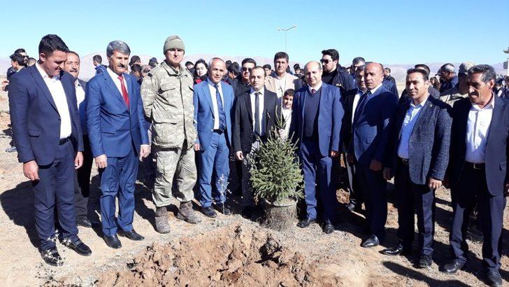 Çaldıran’da 4 bin 500 fidan dikildi G1