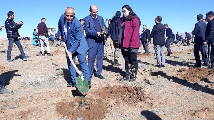 Çaldıran’da 4 bin 500 fidan dikildi G2