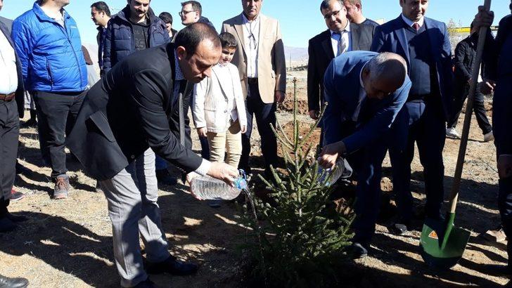 Çaldıran’da 4 bin 500 fidan dikildi G3