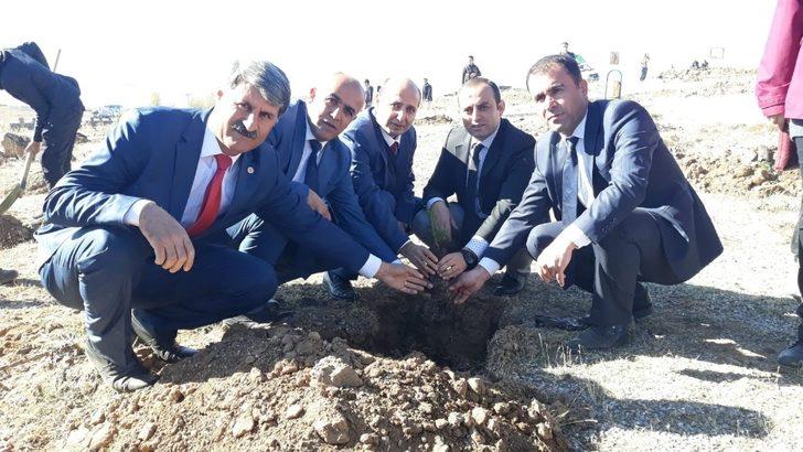 Çaldıran’da 4 bin 500 fidan dikildi G4