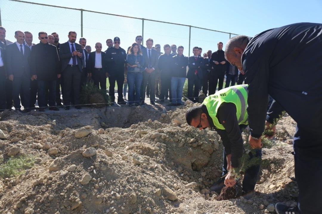 G&uuml;rpınar&rsquo;da 2 bin 500 fidan dikildi