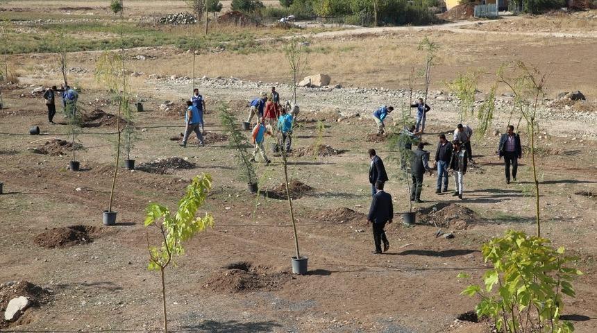 Haliliye Belediyesinden Milli Ağa&ccedil;landırma G&uuml;n&uuml;&rsquo;ne destek