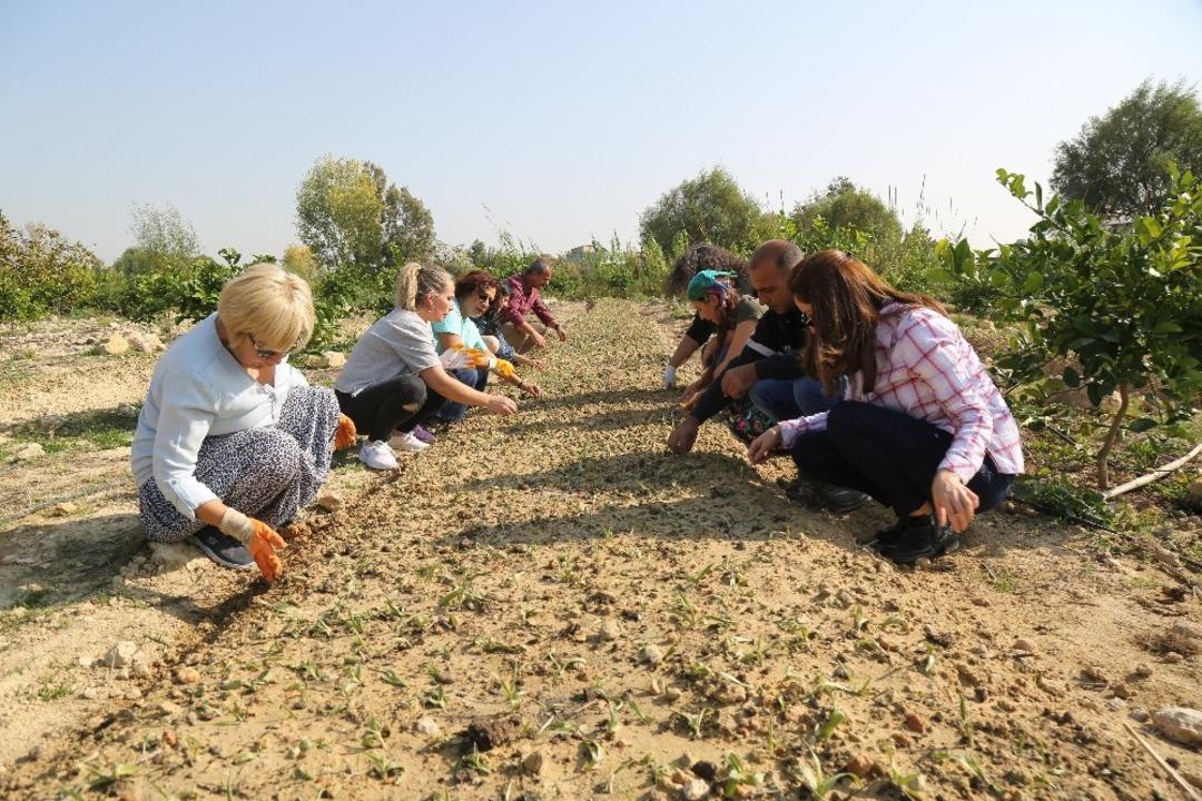 Mezitlili kadınlar salep &uuml;retecek