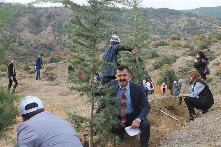 Bilecik’te 32 bin 210 fidan toprakla buluştu G2