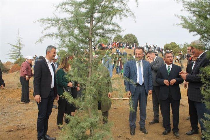 Bilecik’te 32 bin 210 fidan toprakla buluştu G4