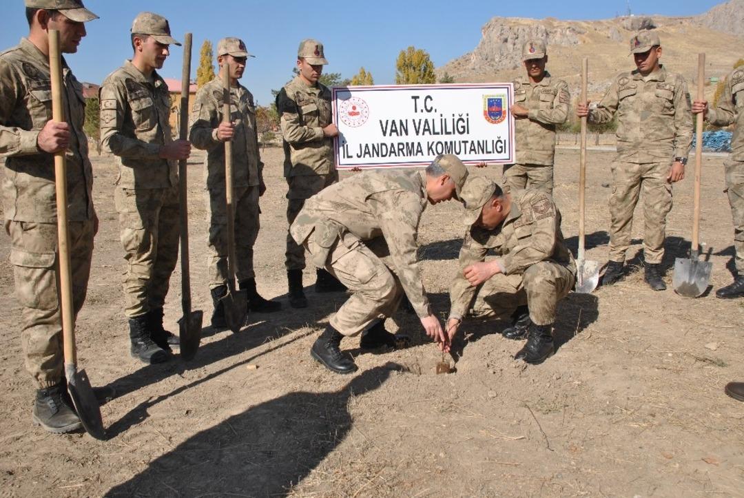 Jandarmadan fidan dikimi