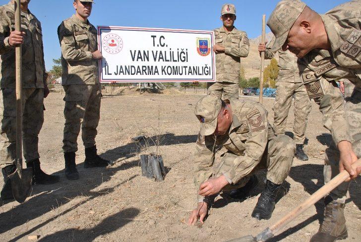 Jandarmadan fidan dikimi G2