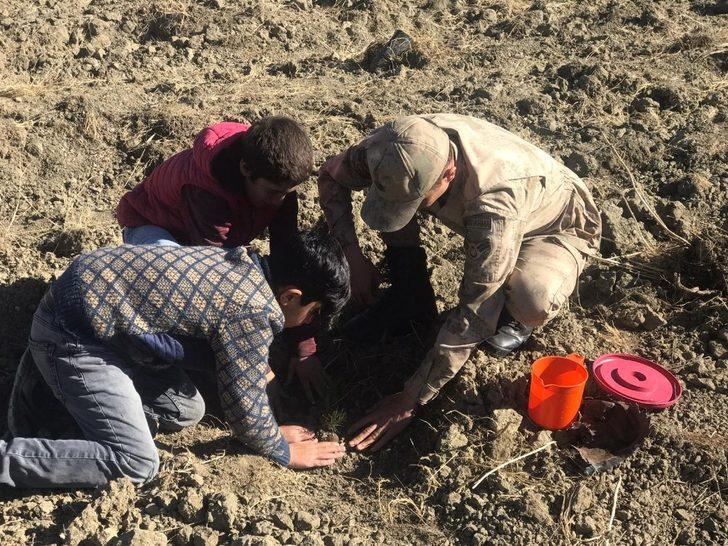 Jandarmadan fidan dikimi G5