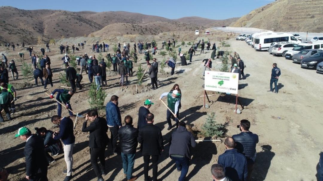Sivas&rsquo;ta 49 noktada 511 bin 279 fidan dikildi