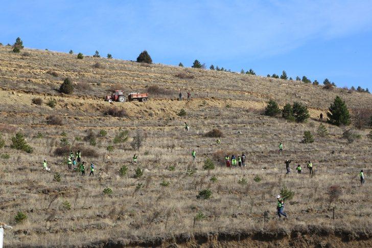 Sivas’ta 49 noktada 511 bin 279 fidan dikildi G5