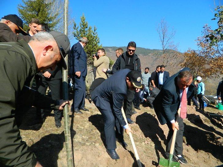 Ardahan’da ağaçlar Posof’a dikildi G3