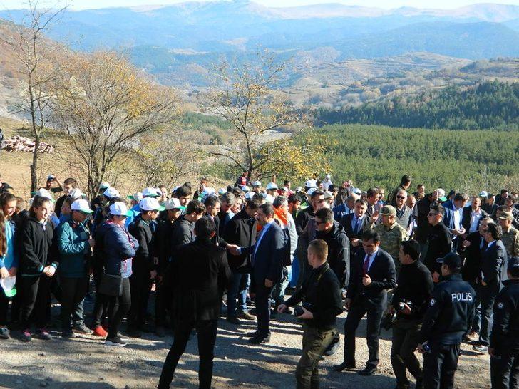 Ardahan’da ağaçlar Posof’a dikildi G5