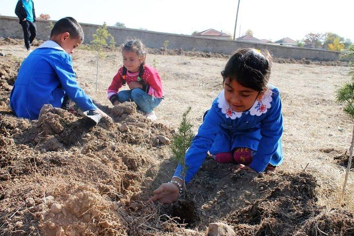 Çeltik’te fidanlar toprakla buluştu G1