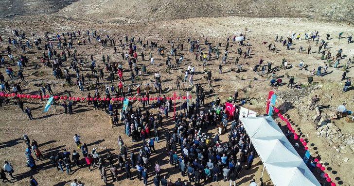 Batman Üniversitesi’nde 22 bin 500 fidan toprakla buluştu G2