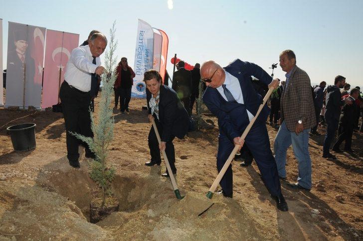 Batman Üniversitesi’nde 22 bin 500 fidan toprakla buluştu G3