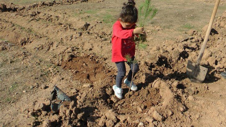 “Bugün Fidan Yarın Nefes” için 5 bin fidan dikildi G2