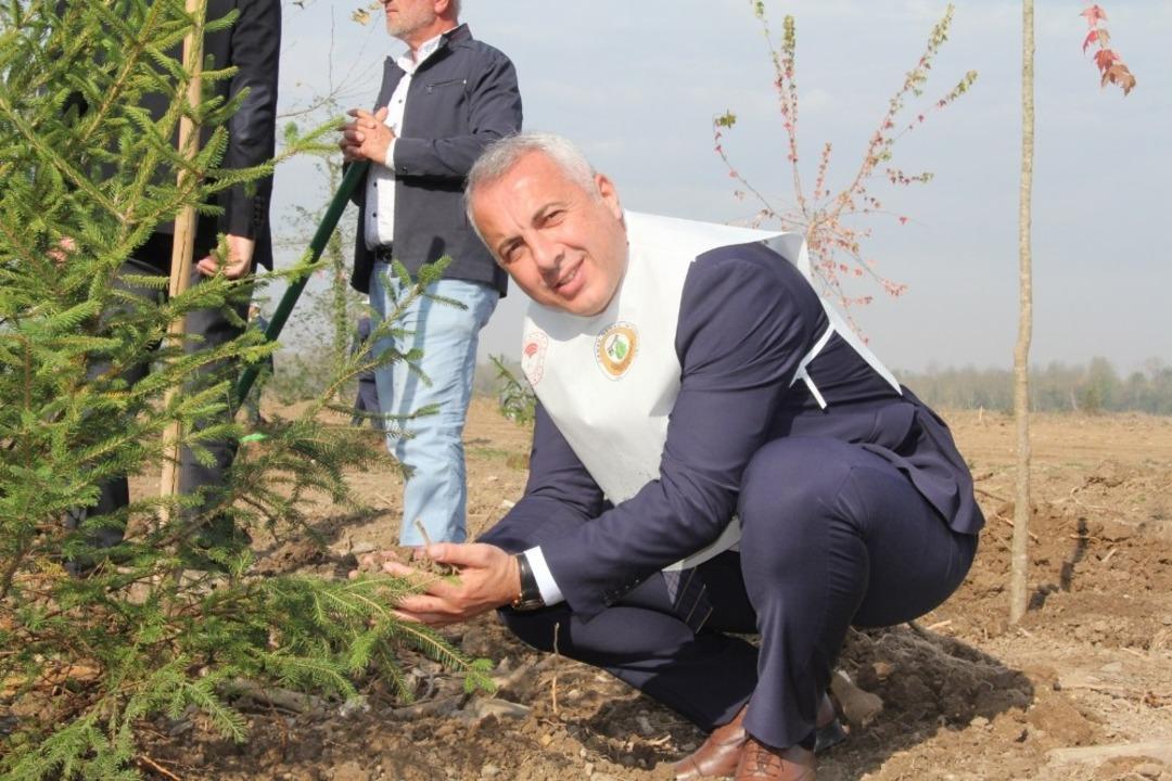 Hendek&rsquo;te 12 bin 700 fidan toprakla buluştu