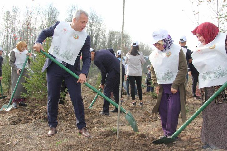 Hendek’te 12 bin 700 fidan toprakla buluştu G2