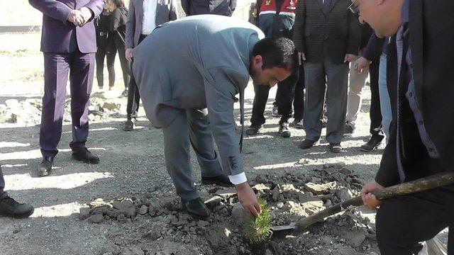 Kulu’da fidanlar toprakla buluşturuldu.