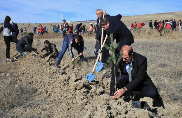 Bayburt’ta 73 bin fidan toprakla buluştu G1