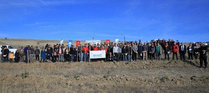 Bayburt’ta 73 bin fidan toprakla buluştu G3