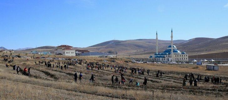 Bayburt’ta 73 bin fidan toprakla buluştu G5