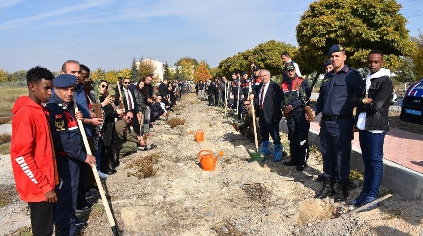 Turgut &Ouml;zal &Uuml;niversitesi de fidan dikti