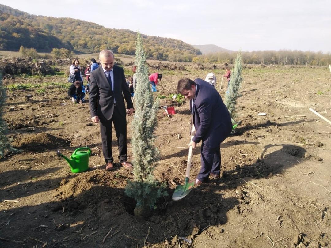 Madenciler fidan dikti