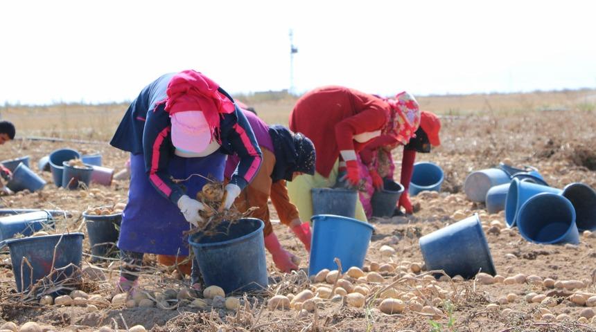 Son Dakika: Çiftçiye gübre desteği ikiye katlandı! İşte 2021 gübre desteği yeni fiyatı!