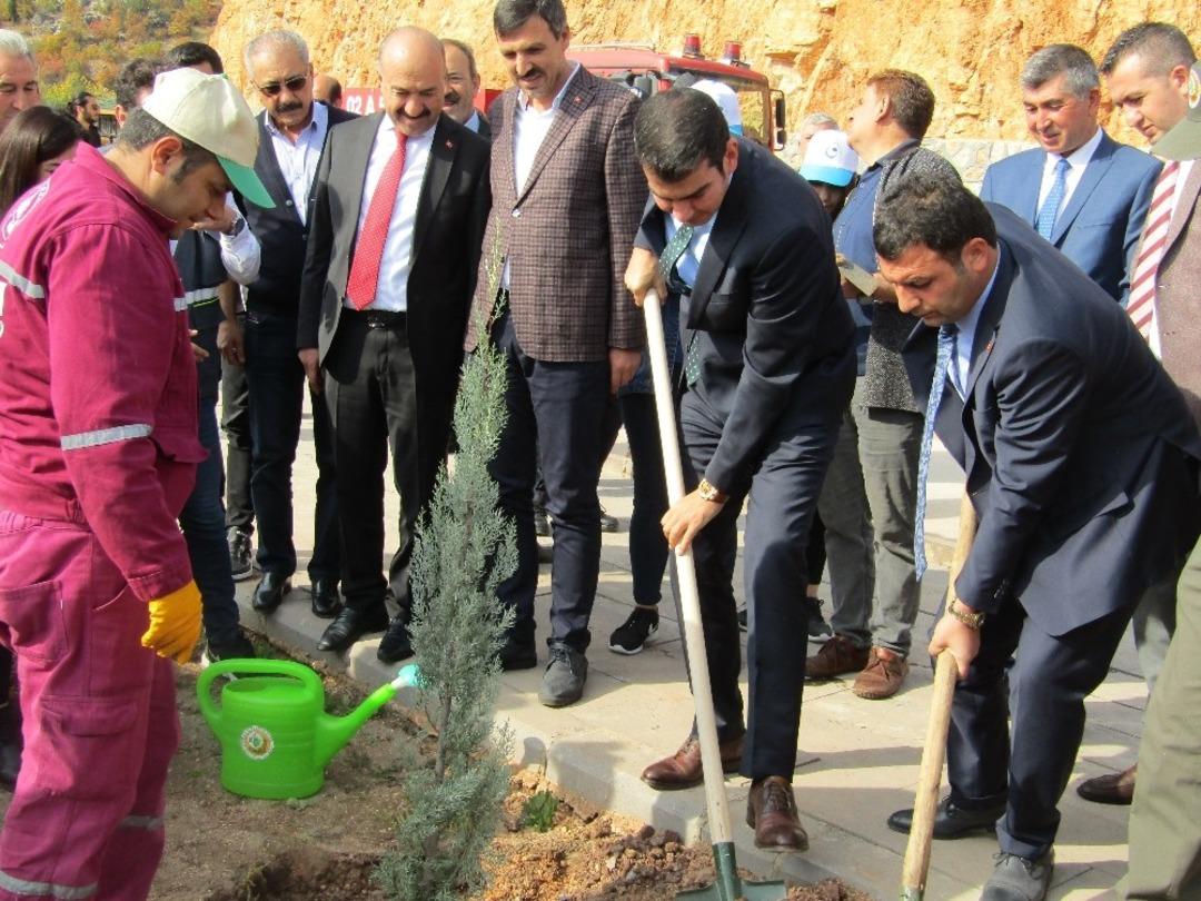 G&ouml;lbaşı il&ccedil;esinde 30 bin fidan toprakla buluştu